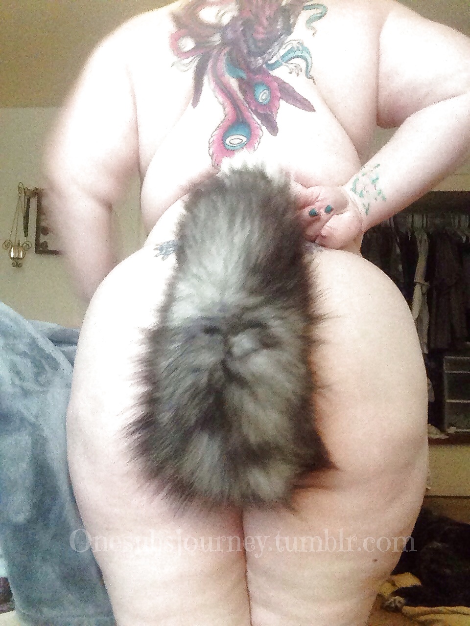 Tail plugs V #38779673