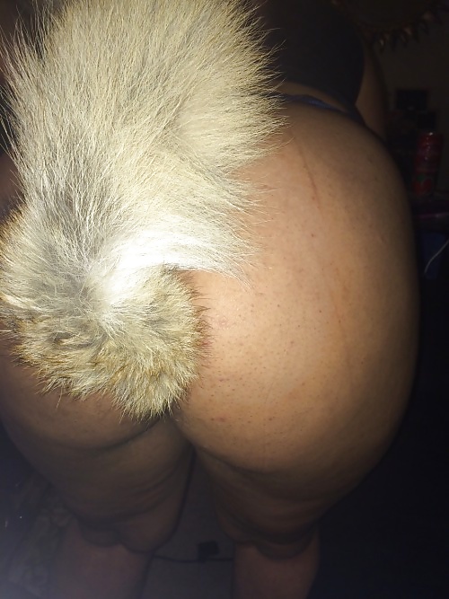 Tail plugs V #38779875