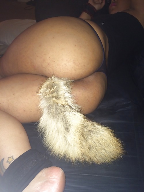 Tail plugs V #38779882