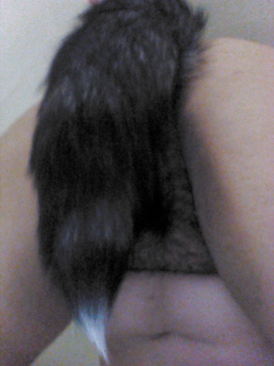 Tail plugs V #38780129