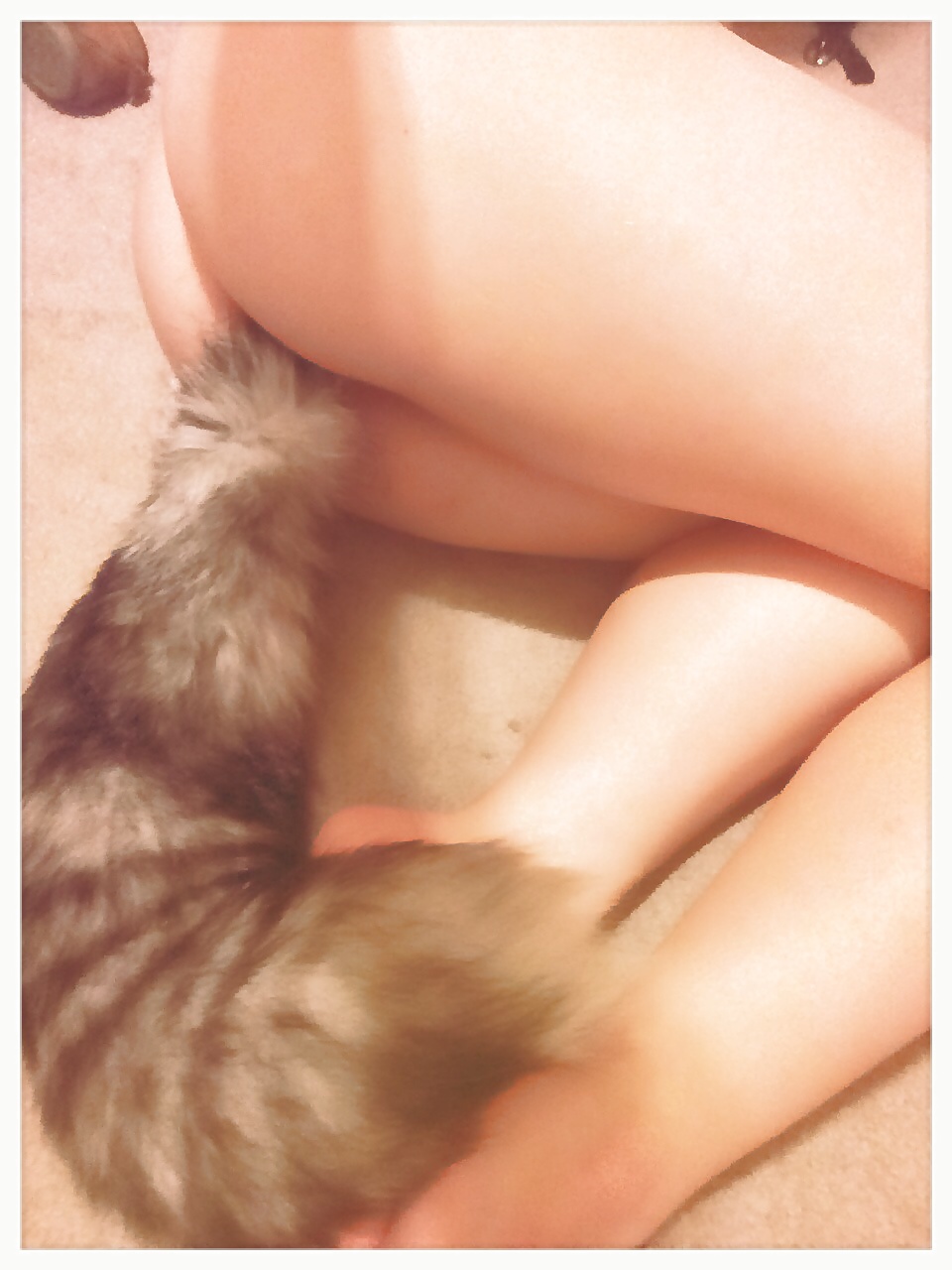 Tail plugs V #38780183