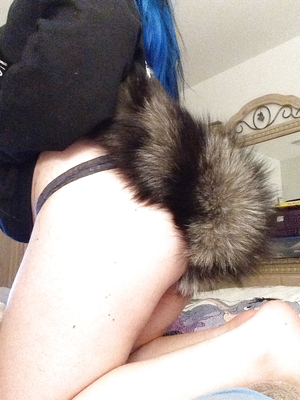 Tail plugs V #38780203