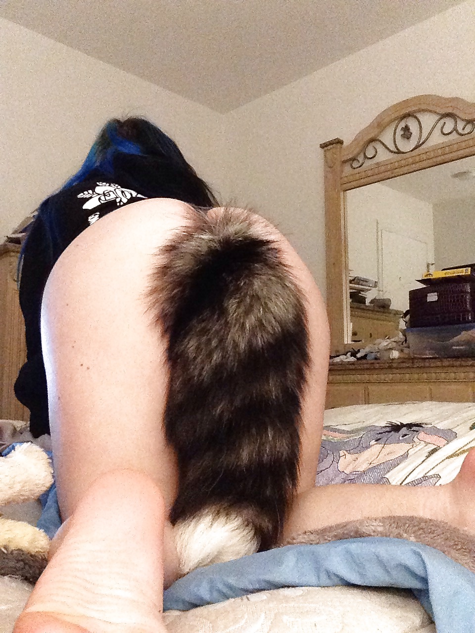 Tail plugs V #38780223