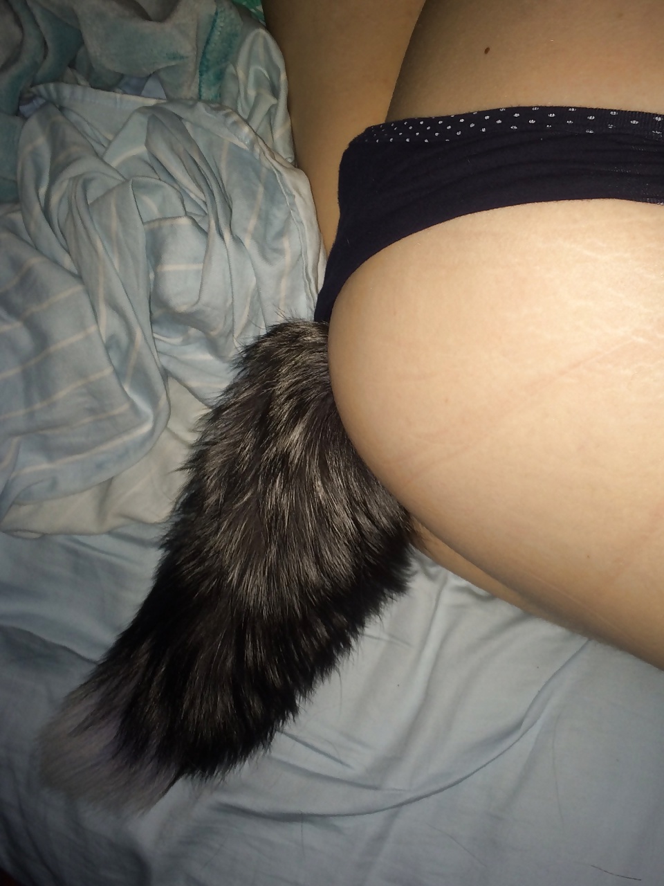 Tail plugs V #38780227