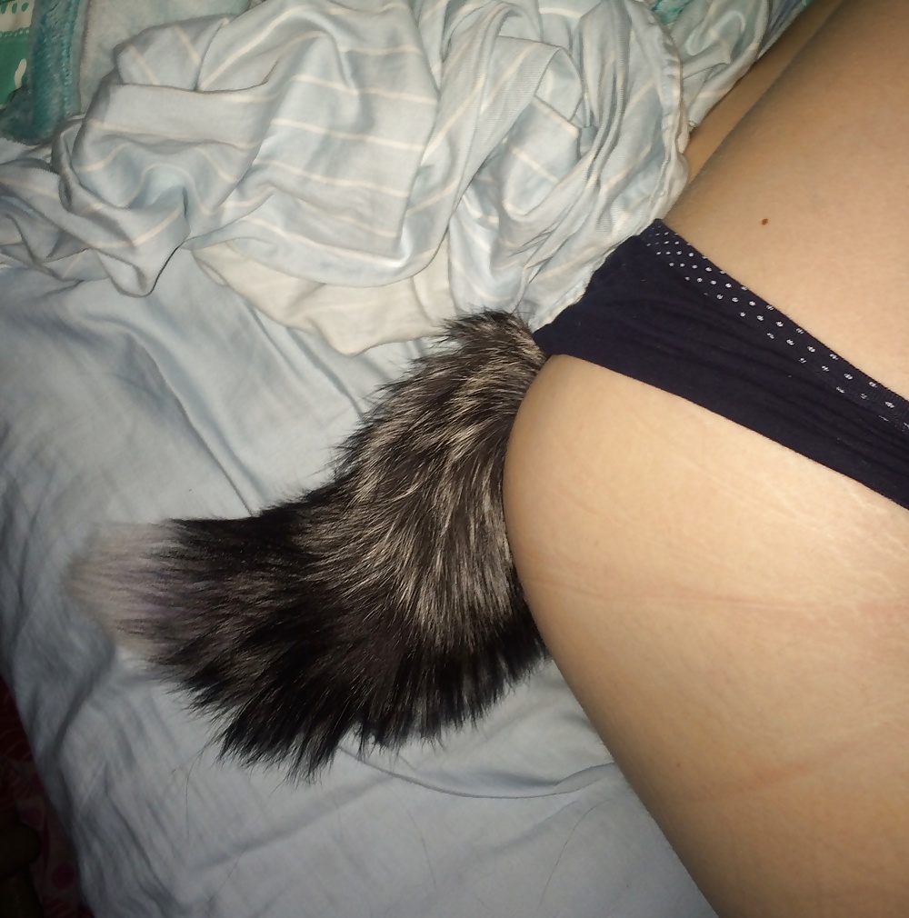 Tail plugs V #38780232