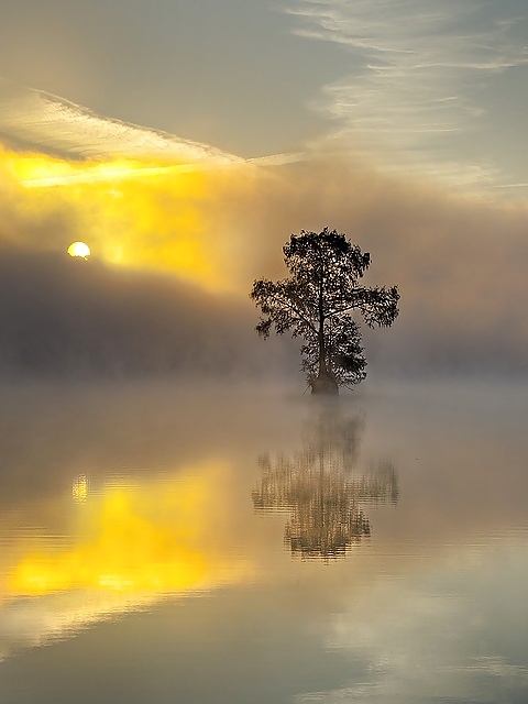 Ephemeral... #23829698