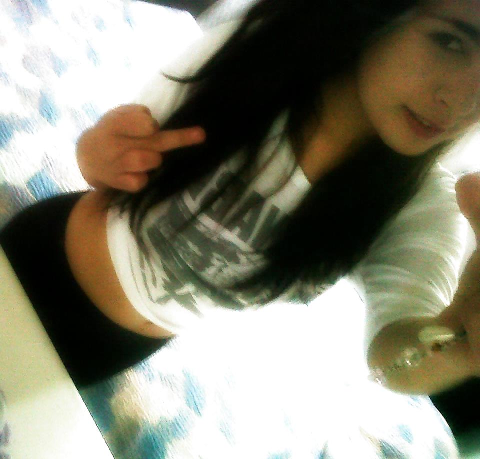 MIS ZORRITAS FAVORITAS II #24492171