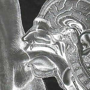 Diversión
 #35451797