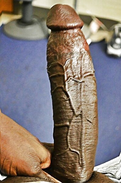 あ、bikerdude 1 idiot is on line
 #33406556