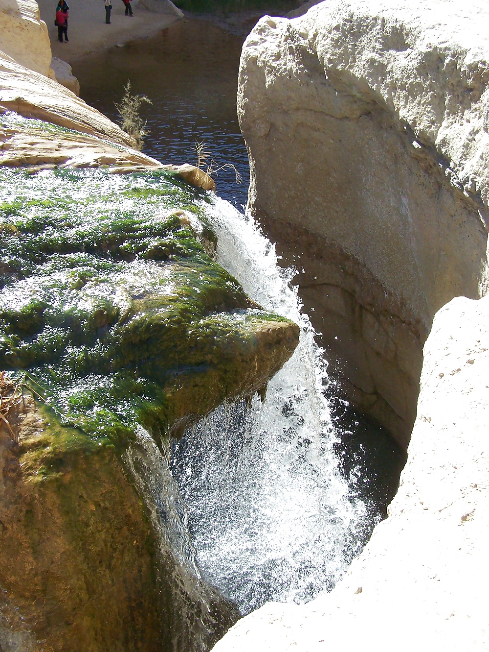 Tunesien - Wasserfall von Tamerza