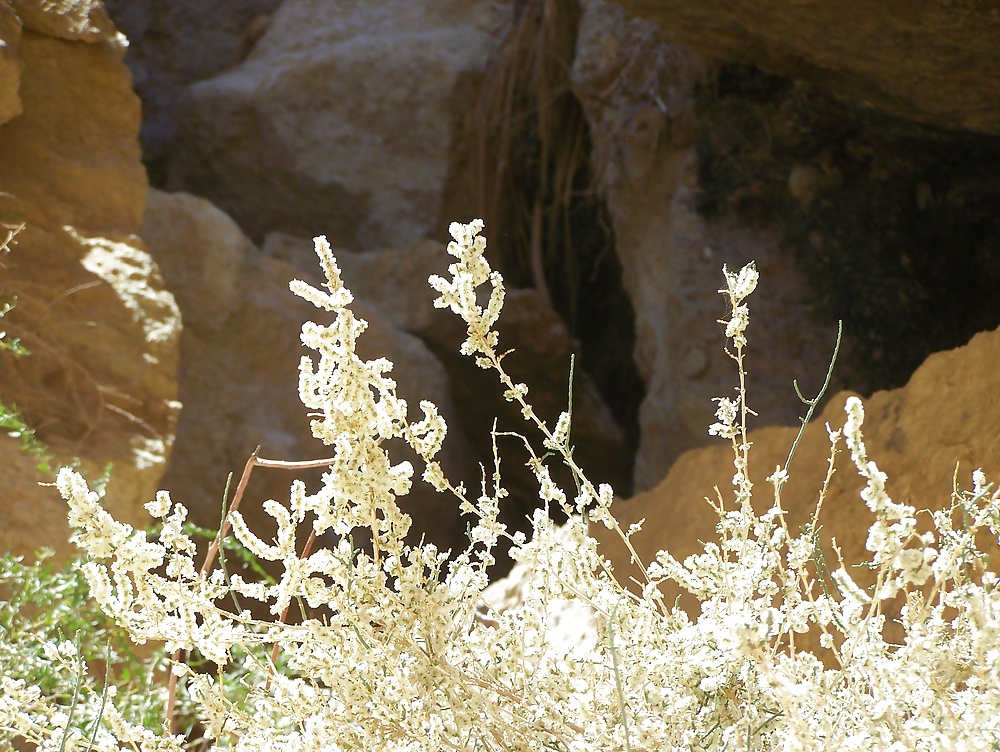 Tunesien - Wasserfall von Tamerza #30269423
