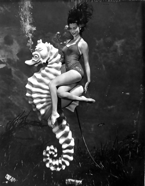 Amazonas ...
 #26799969