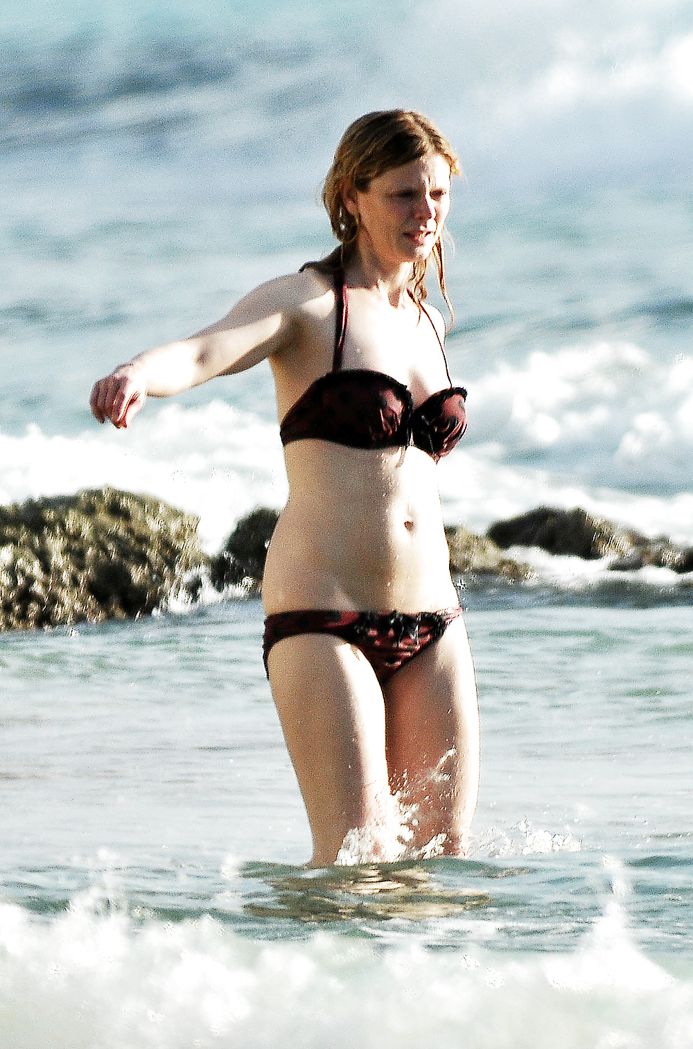 Emilia fox
 #35695109