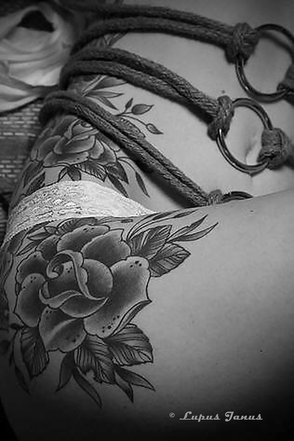 Extract mixed Bondage Sessions sw 1 #28960463