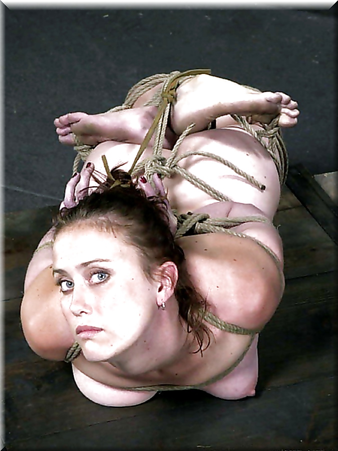 Lion's: Strictly bound! (3) #28428426