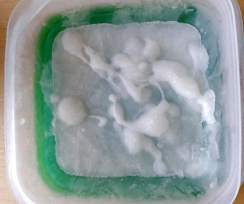 9 ロード
 #33553056