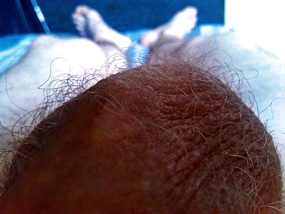 Cock #26529111