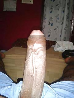 My cock pics #26660483