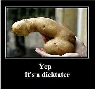 面白い
 #30159723