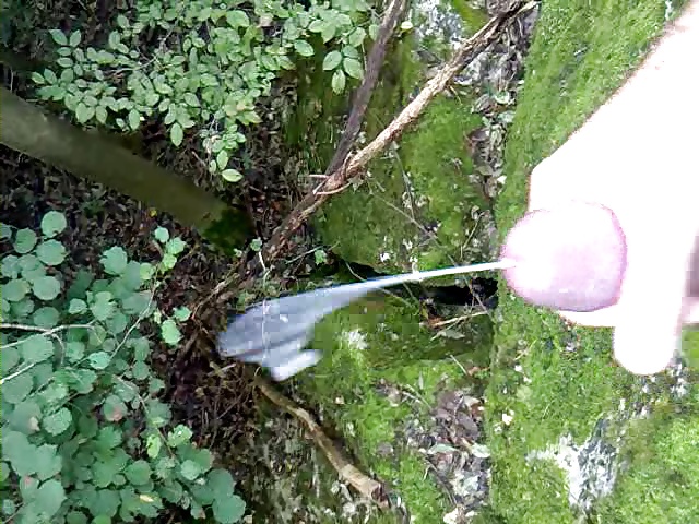 Nueva gran corrida al aire libre (próximamente)
 #28787002