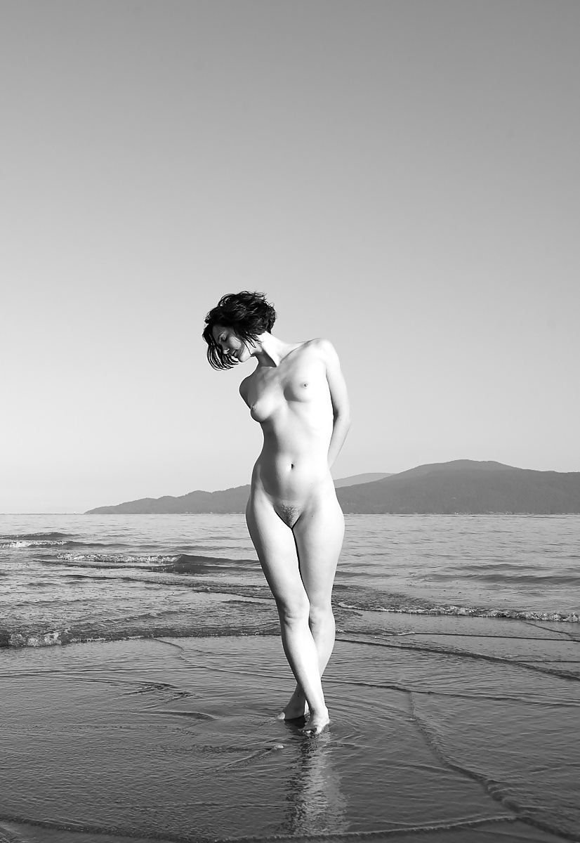 Janas Joie de vivre 269 #25548940
