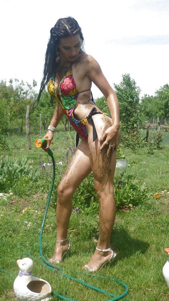 Zorra 2 uso
 #24232596