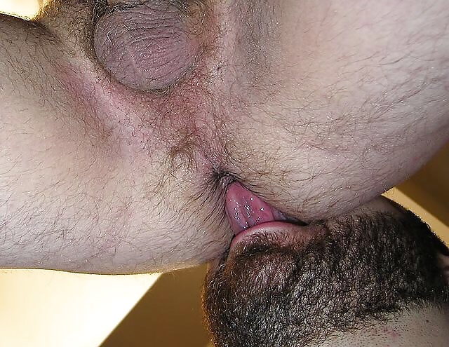 Osos y peludos
 #32923492