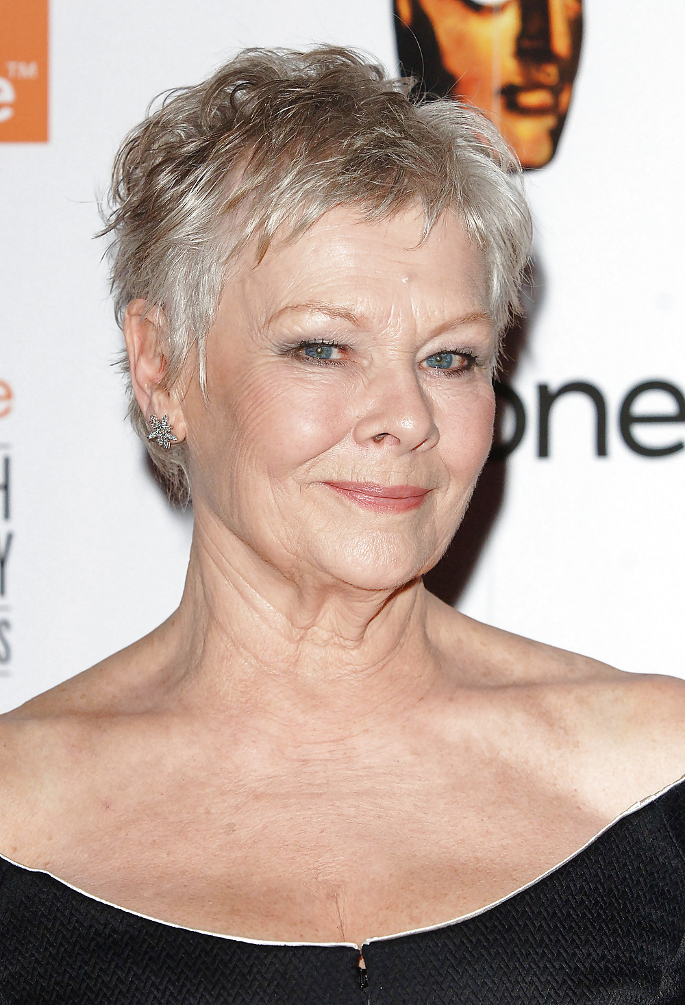 Judi Dench Big Tits Gilf (Ongoing) #23034516