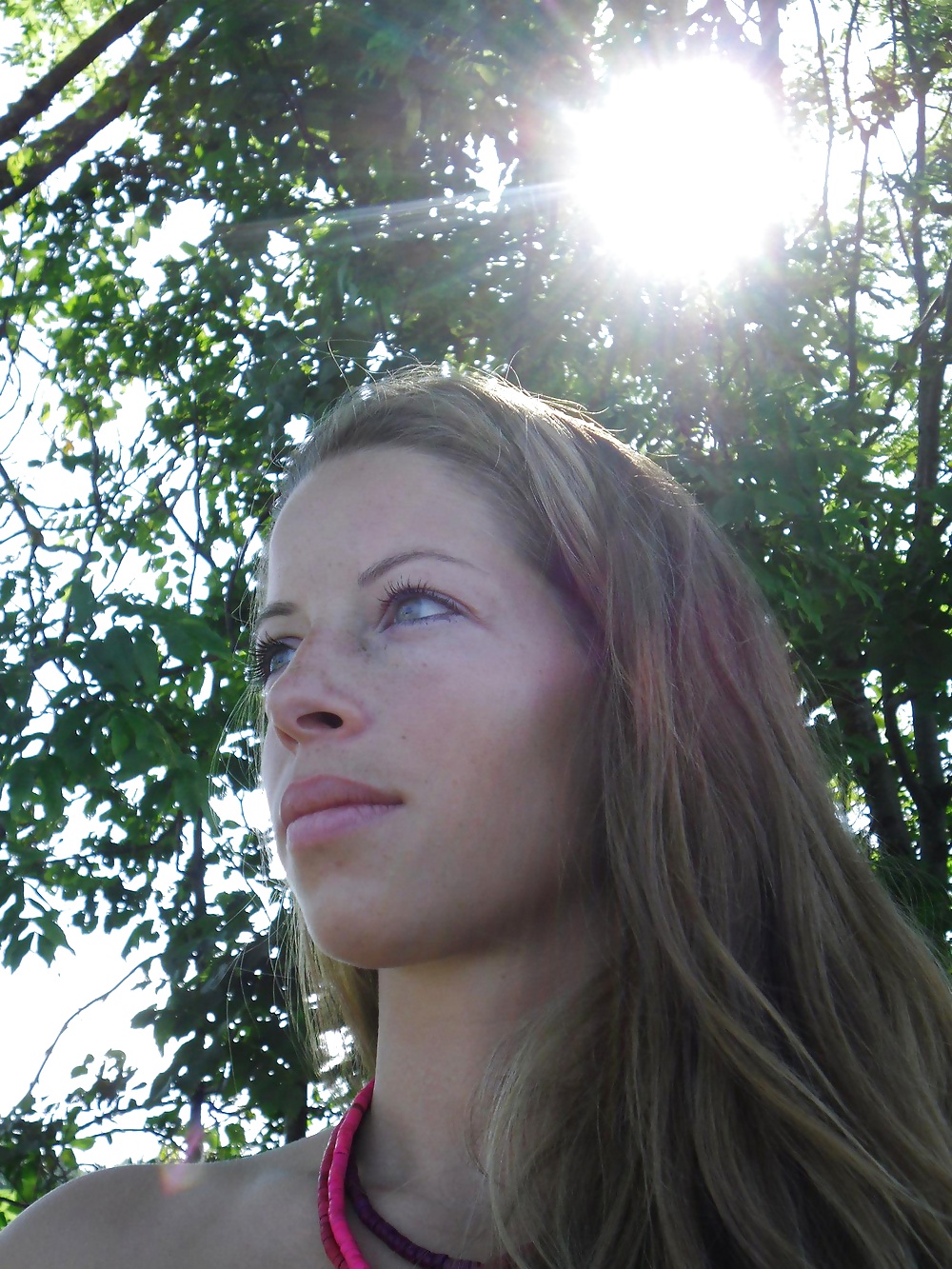 Sommer Sonne Kaktus