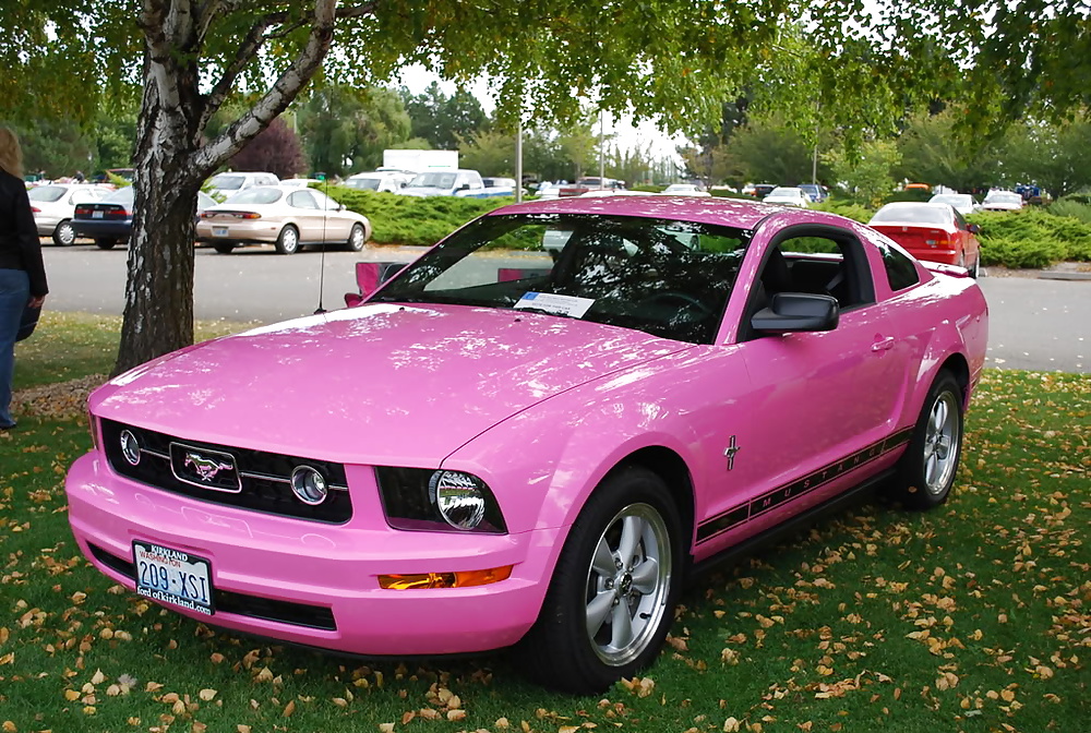 Pink mustang
 #29427195
