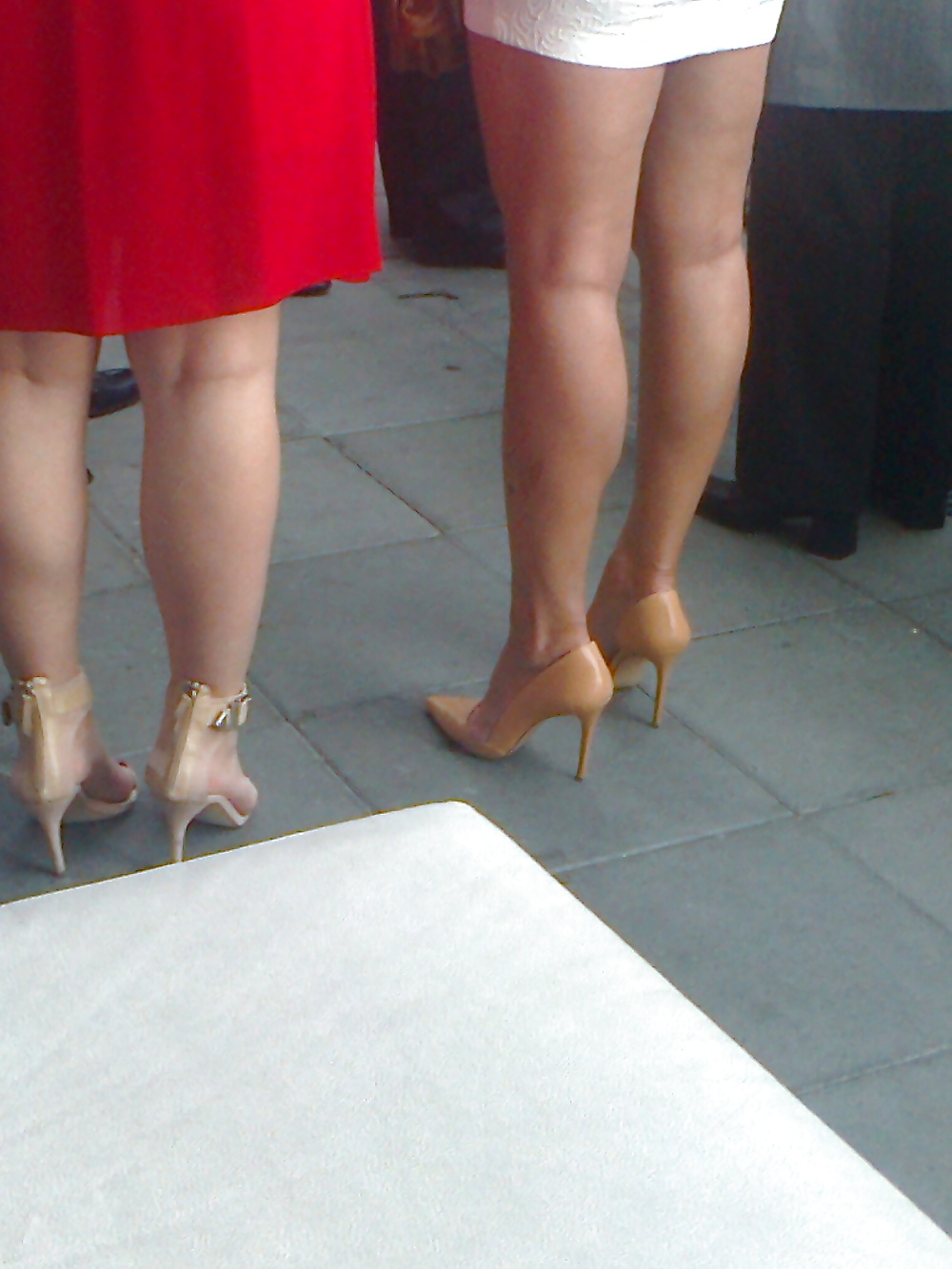 Habitación de señoras
 #41030997