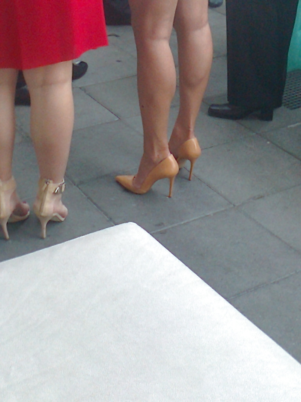 Habitación de señoras
 #41031009