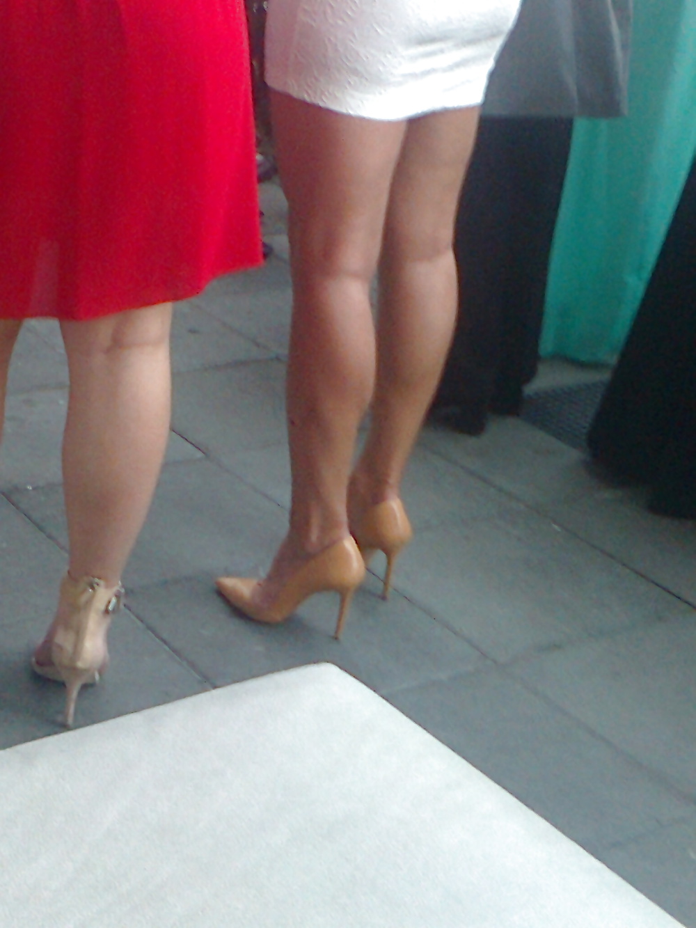 Habitación de señoras
 #41031029