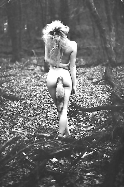 Le haras 53
 #24449200