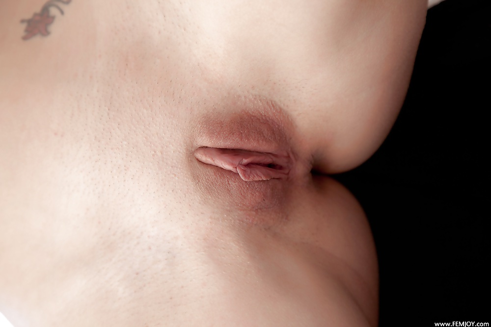 Pussy #31525923