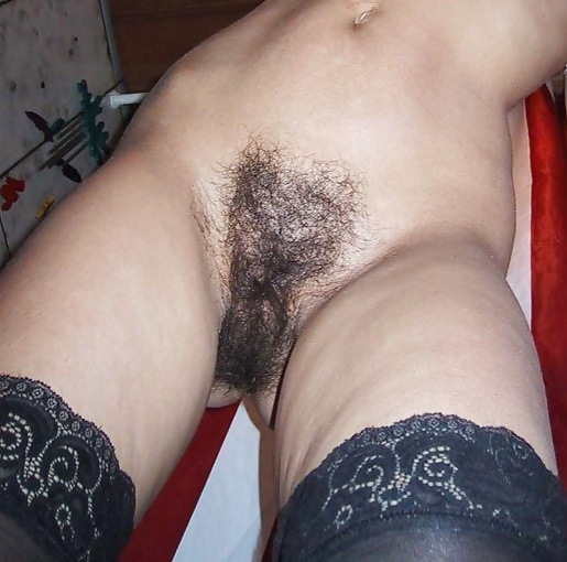 Mix of different type of groomed Bush #31777805