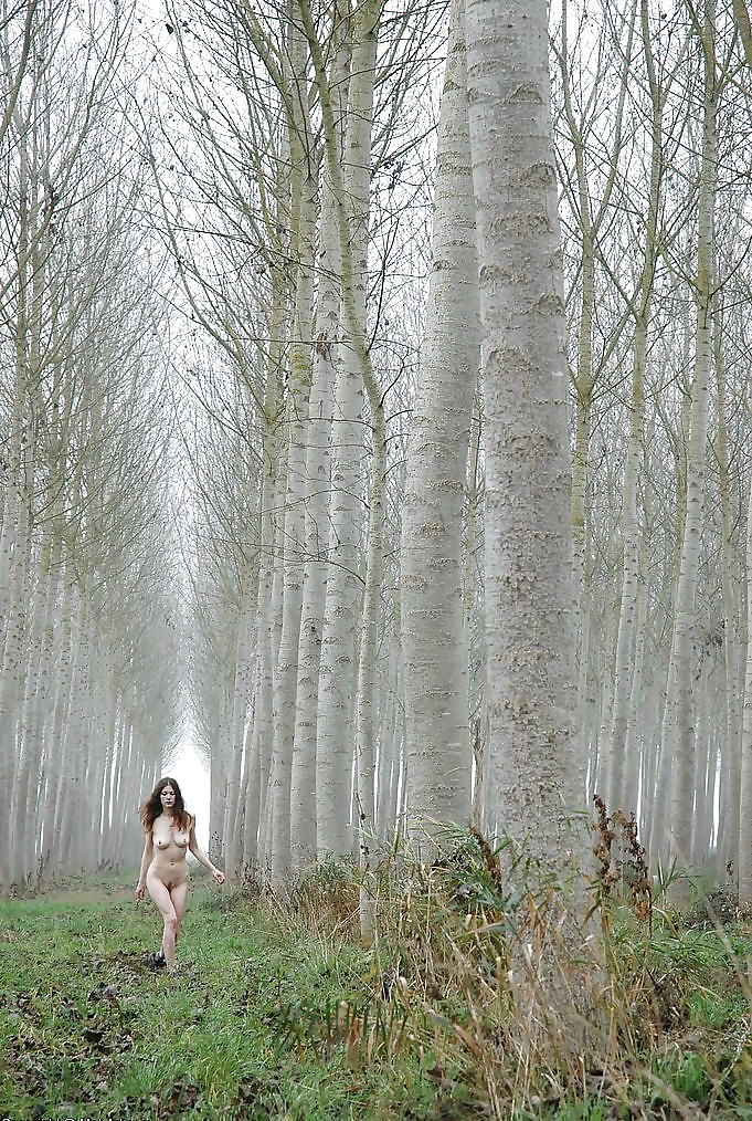 Public exposure #17 #37080526