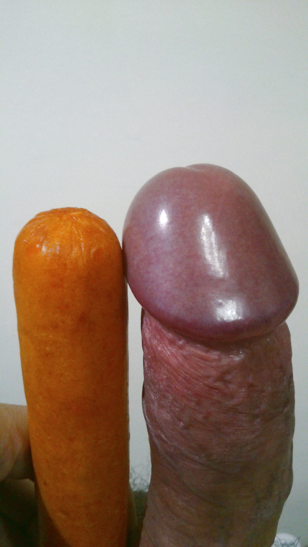 Mi perrito caliente
 #29416878