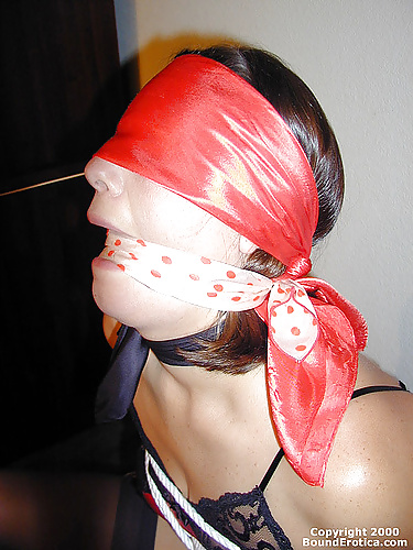 Cleave gagged damsels #27268295