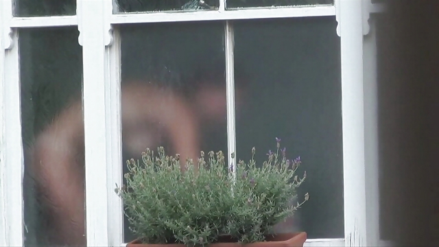 Erregt Wird, Wenn Der Spion Auf #35170721