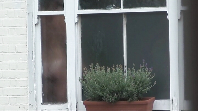 Erregt Wird, Wenn Der Spion Auf #35170769