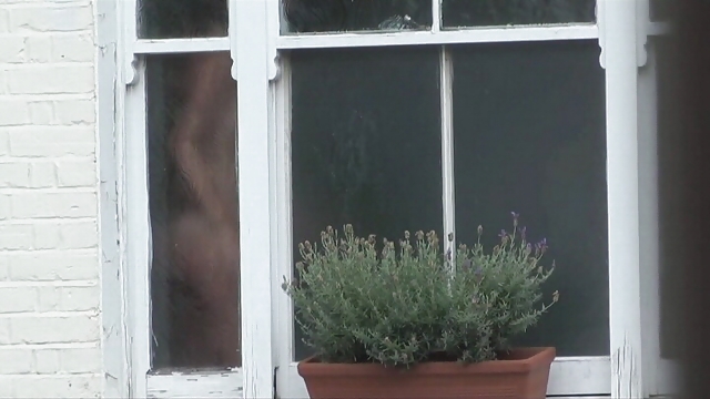 Erregt Wird, Wenn Der Spion Auf #35170772