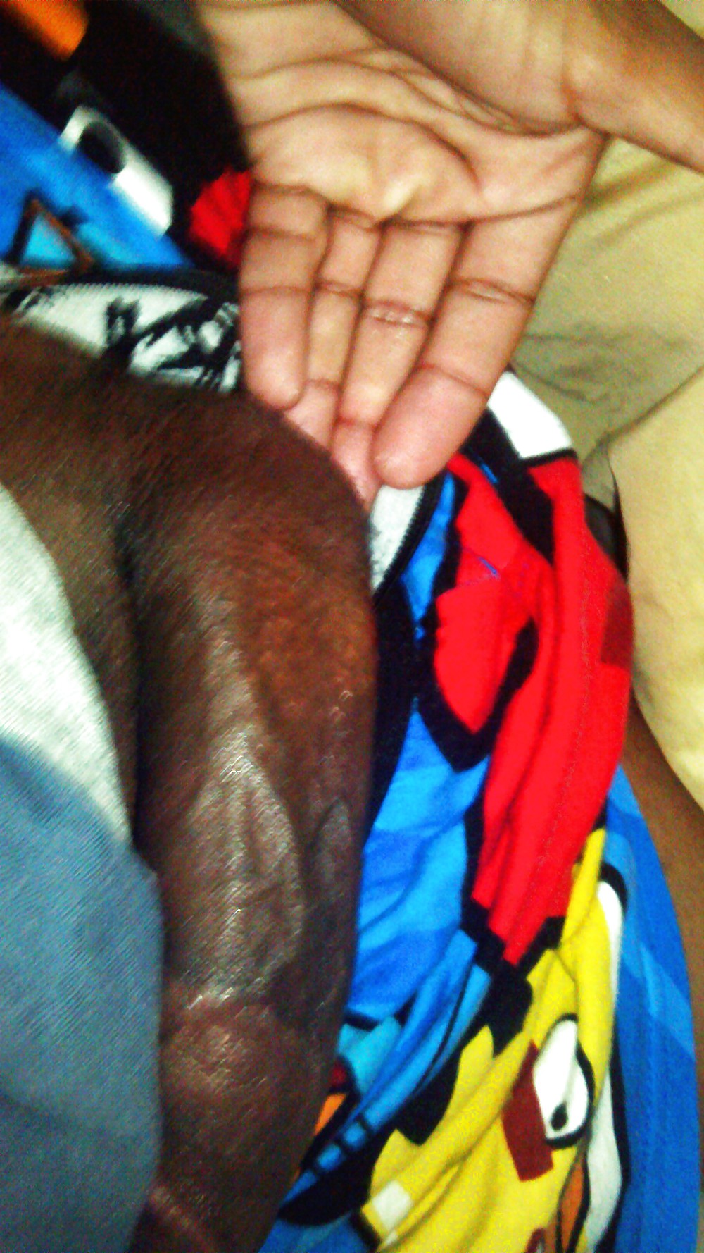 Shaved  on soft #36288964