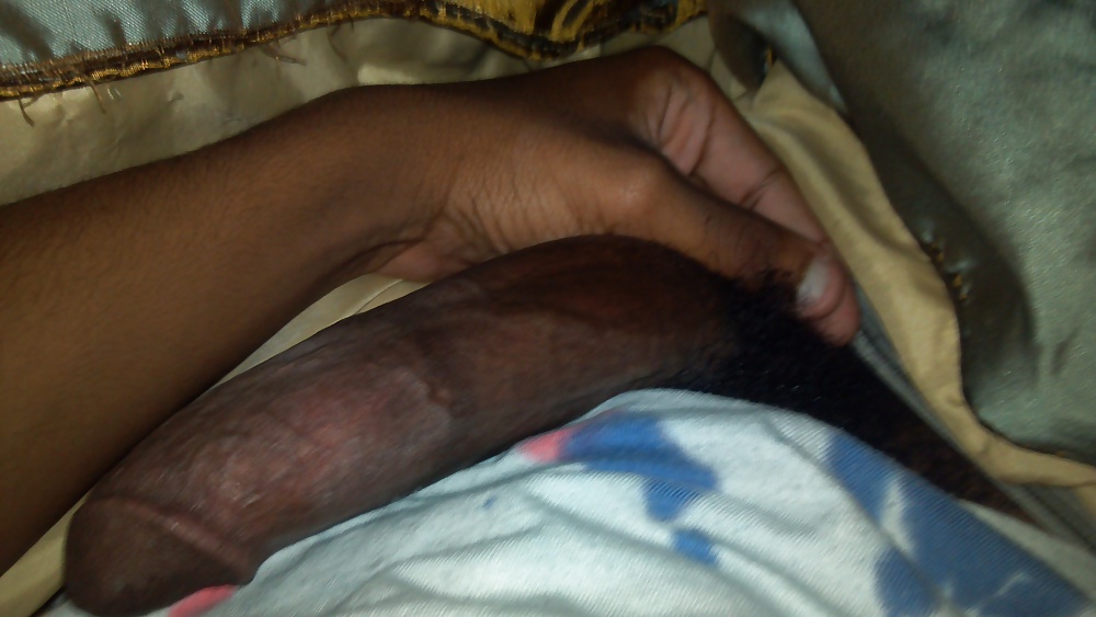 Shaved  on soft #36288967