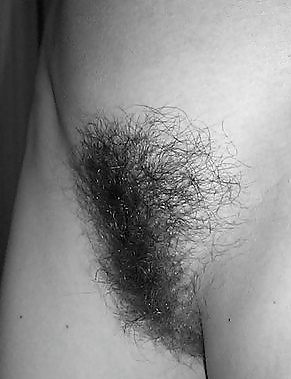Hairy Pussy Hotties (eclectic mix) #32784401