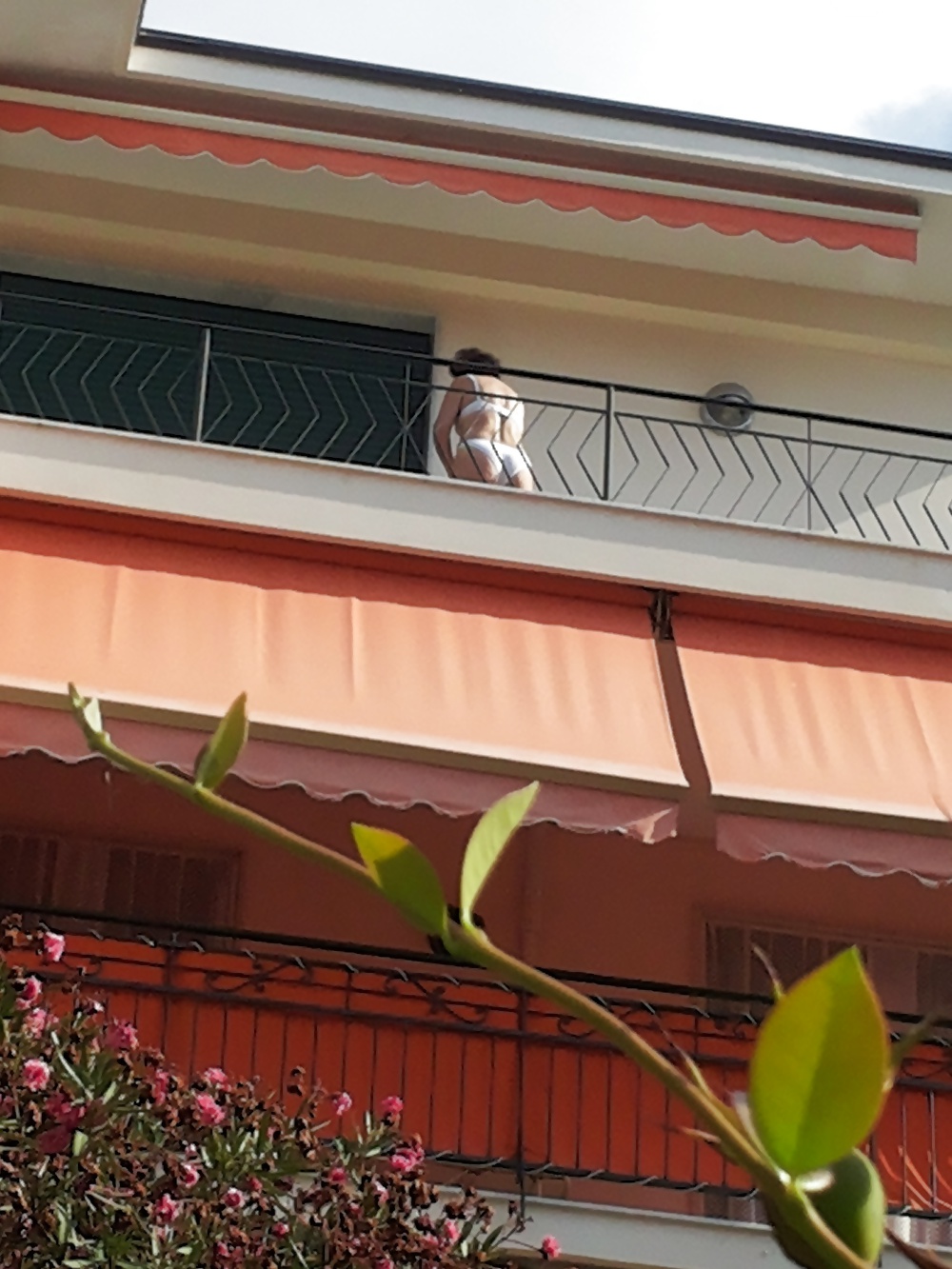 ヴィシン
 #28623172