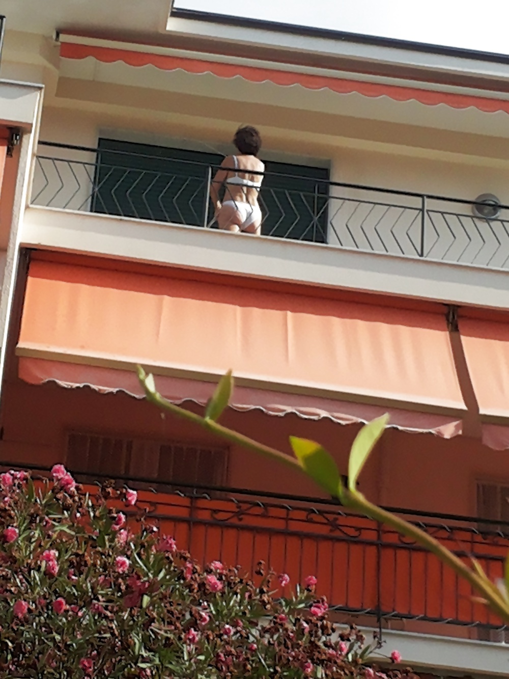 ヴィシン
 #28623185