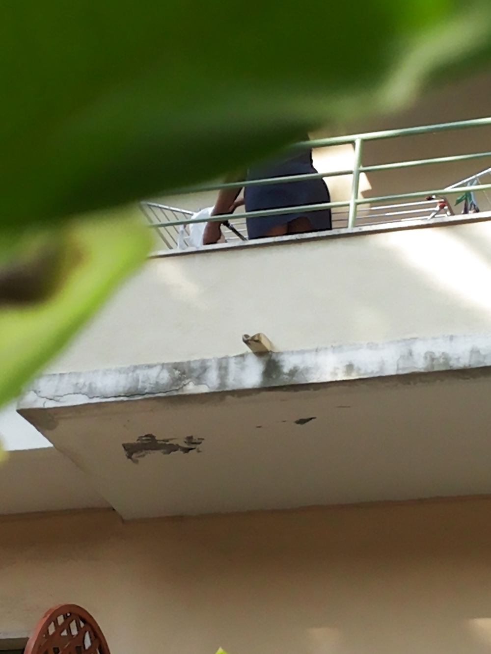 ヴィシン
 #28623188