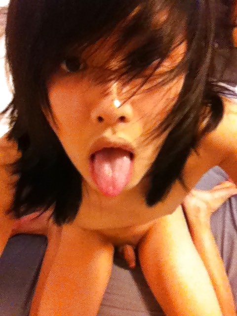 My Favorite Traps #31386629