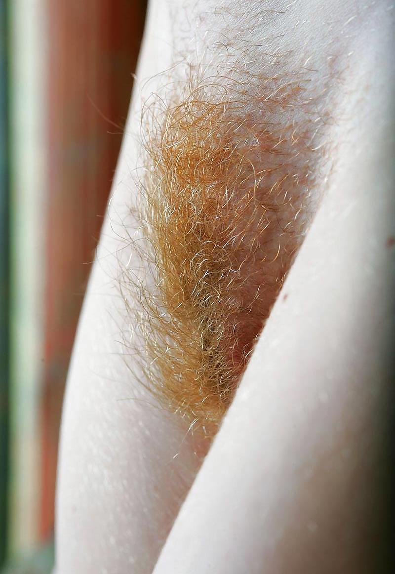 Redheads with hairy pussies #25943438